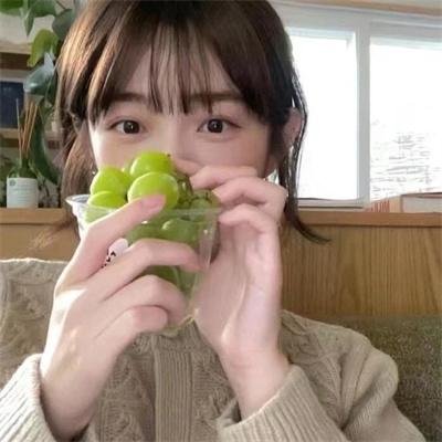 山狗